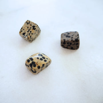 Dalmatian Jasper Pocket Stone